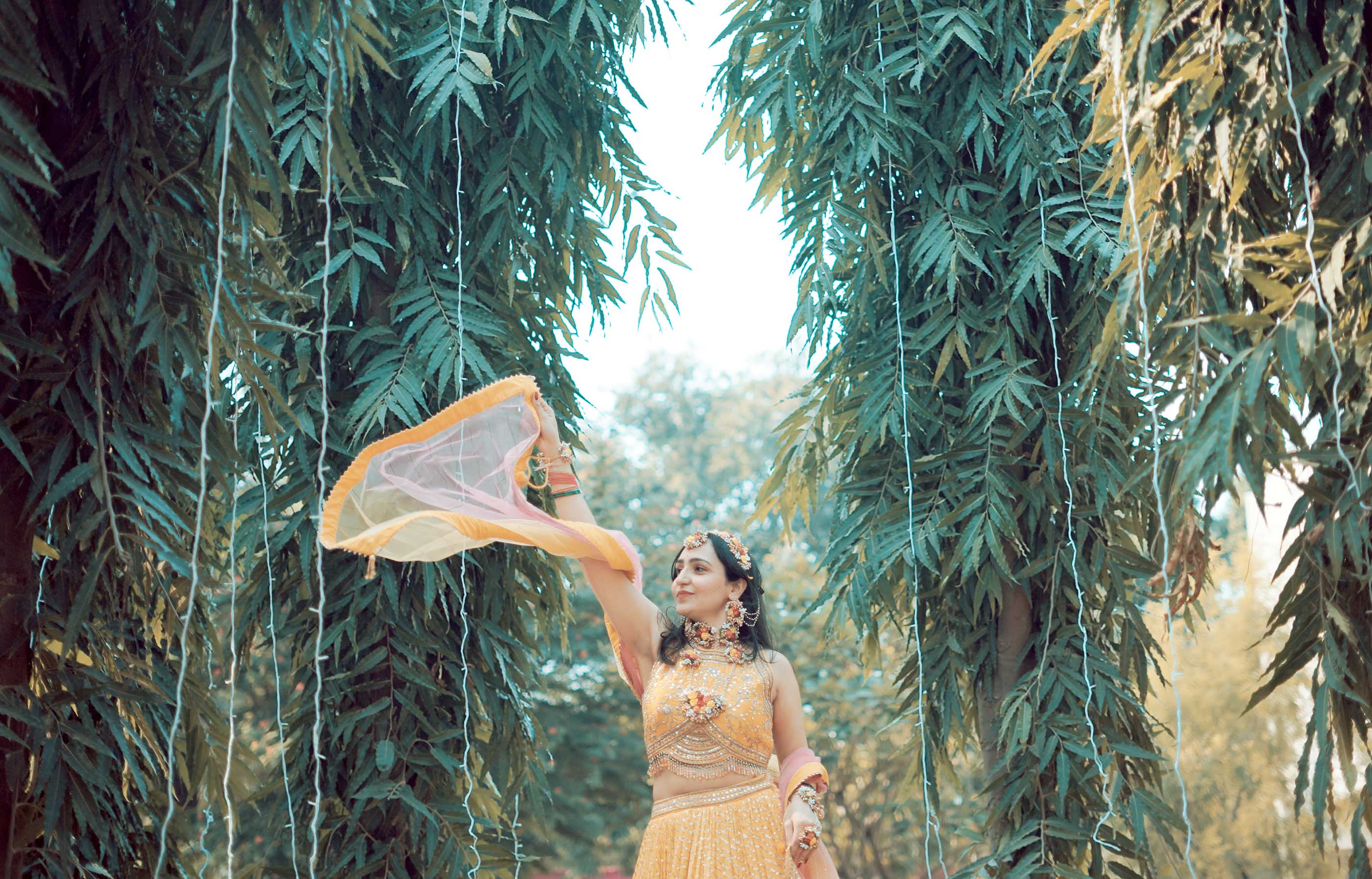 Traditional Haldi Ceremony